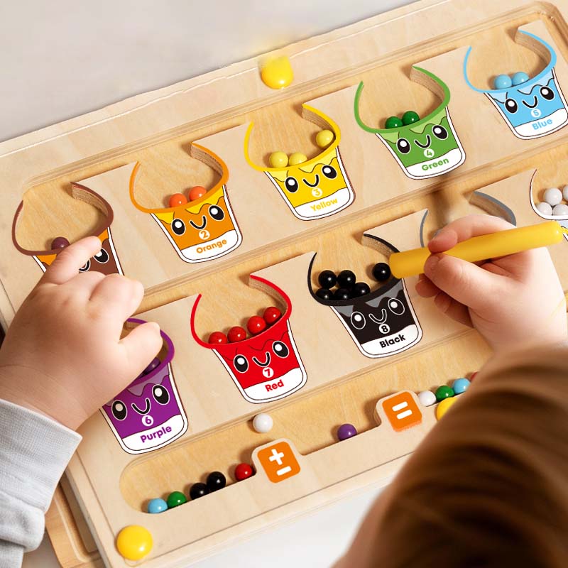 Magnetic Sorting Games Montess - Board Game Nature review and price